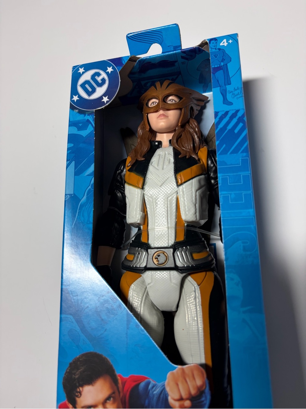 DC Hawkgirl Action Figure — New in Box